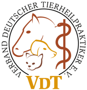 VDT Logo